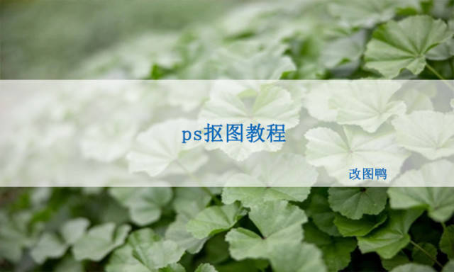 苹果电脑上哪个网页版好用:电脑上有没有比ps更好用的抠图教程？