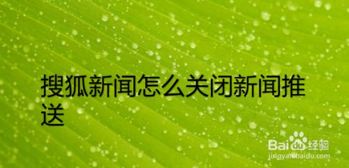 搜狐新闻客户端安卓搜狐新闻客户端电脑版下载