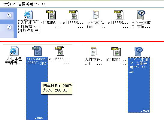 诺顿企业版客户端诺维信酶制剂公司官网