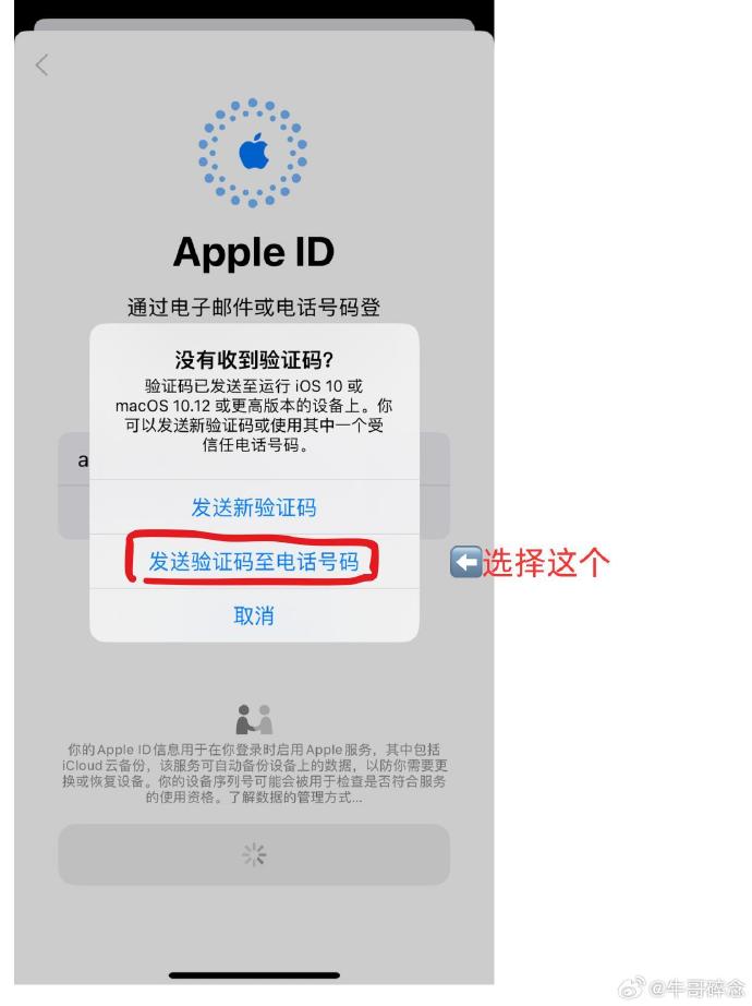 苹果a版解锁苹果手机ai人工智能