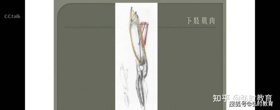 绘画临摹软件苹果版
:美术学院线上课程作业展︱素描人体——宋子伊-第5张图片-太平洋在线下载