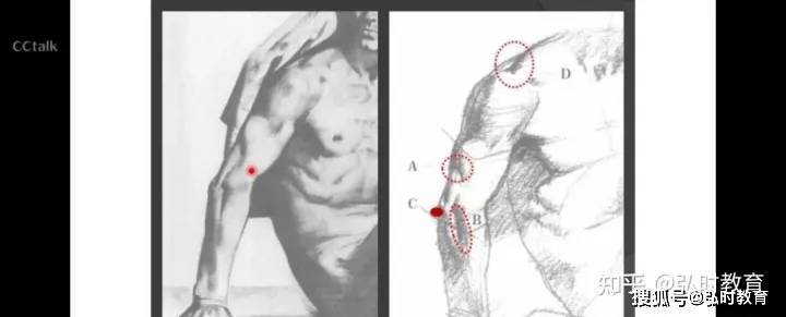 绘画临摹软件苹果版
:美术学院线上课程作业展︱素描人体——宋子伊-第7张图片-太平洋在线下载