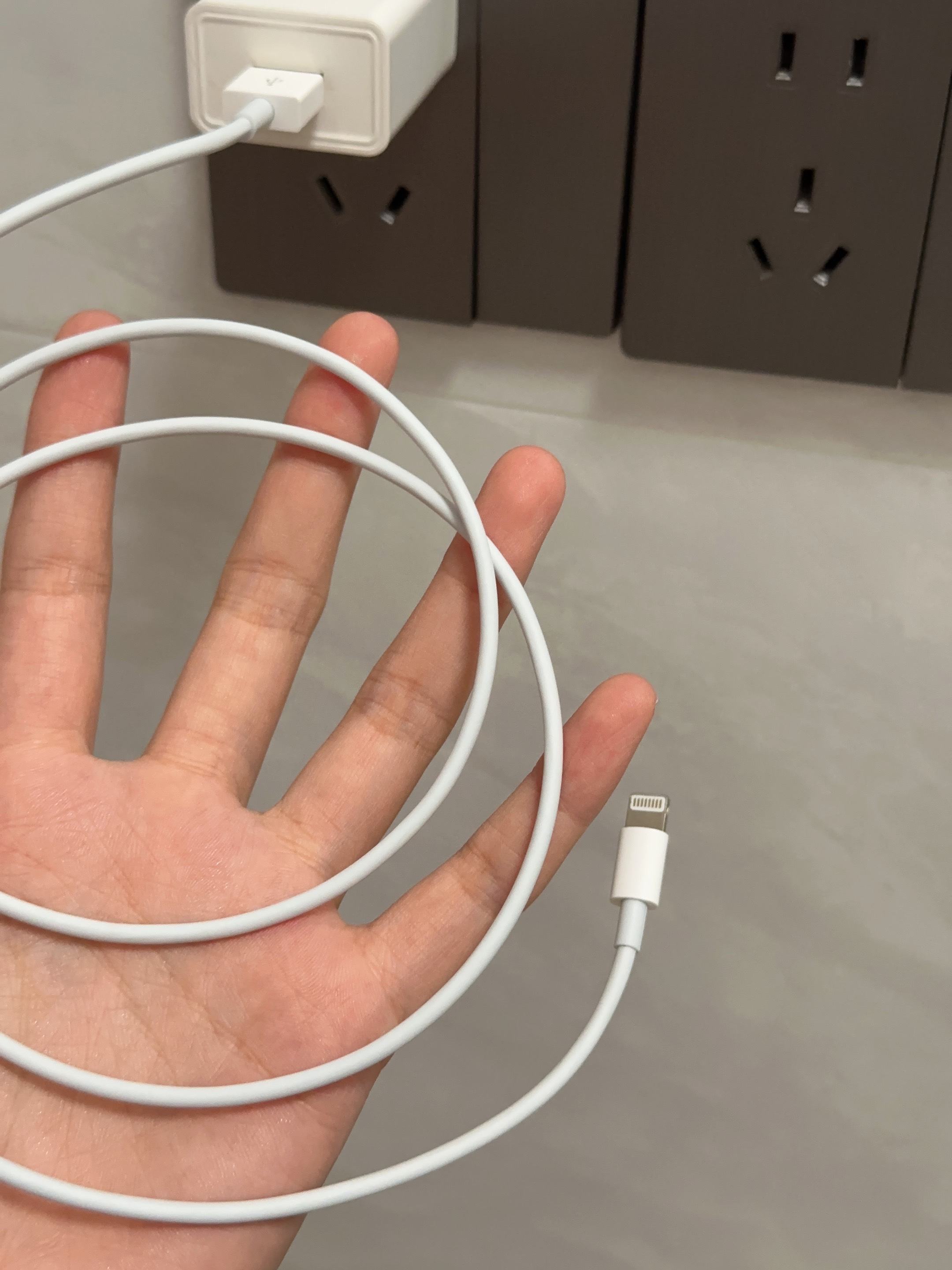 苹果12公开版跟快充版(苹果12公开版和快充套装有什么区别)-第2张图片-有道翻译官网