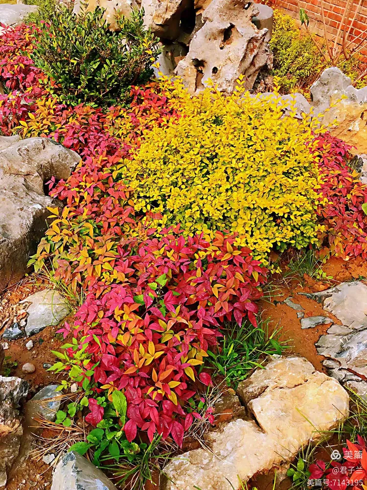 烟雨调色苹果版下载(烟雨调色苹果版下载安卓)